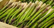 Cena szparagów wystrzeliła. Drożyzna na początku sezonu