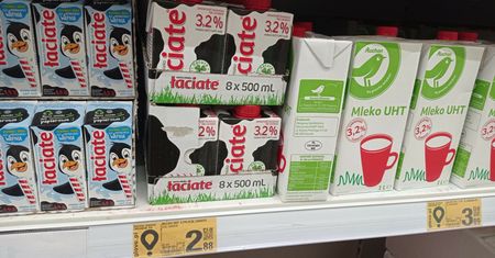 "Milkflacja" szaleje w Korei. Polskie mleko podbija nowy rynek