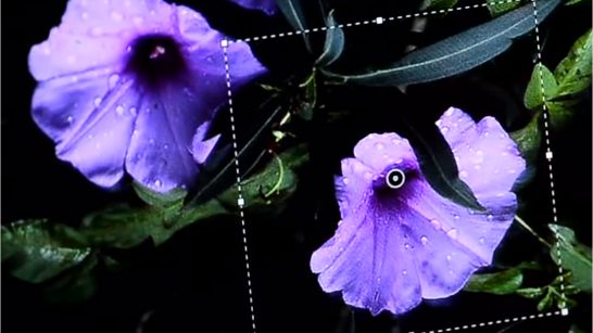 Rewolucja Adobe: nowy Photoshop CC dostępny tylko przez subskrypcję 1