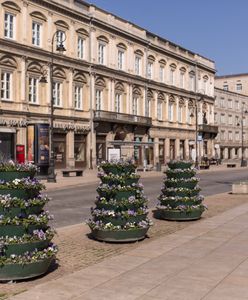 Warszawa. Krakowskie Przedmieście w weekend zamieni się w deptak