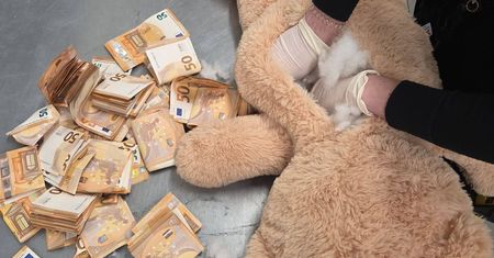 Pluszowy miś z 50 tysiącami euro w brzuchu. Pracownik DHL zrobił szokujące odkrycie