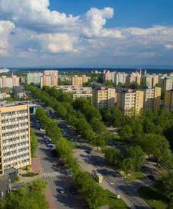 Tychy. Miasto wspomoże przedsiębiorców, którzy ucierpieli przez koronawirusa. Na co będą mogli liczyć?