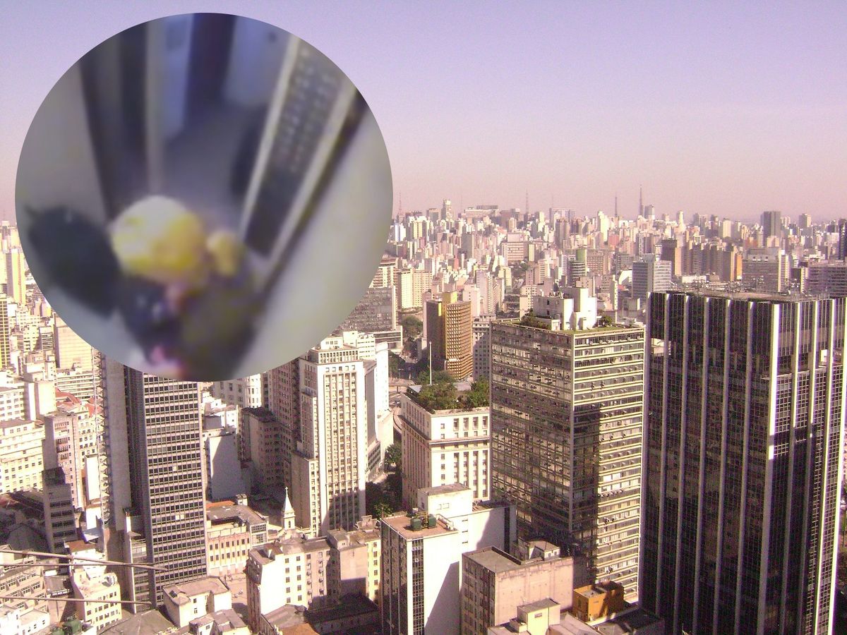 Sao Paulo. Na światło dziennie ujrzały nagrania z monitoringu 