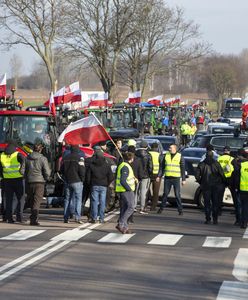 Chcą zemsty na rolnikach i przewoźnikach? Padła zapowiedź z Ukrainy
