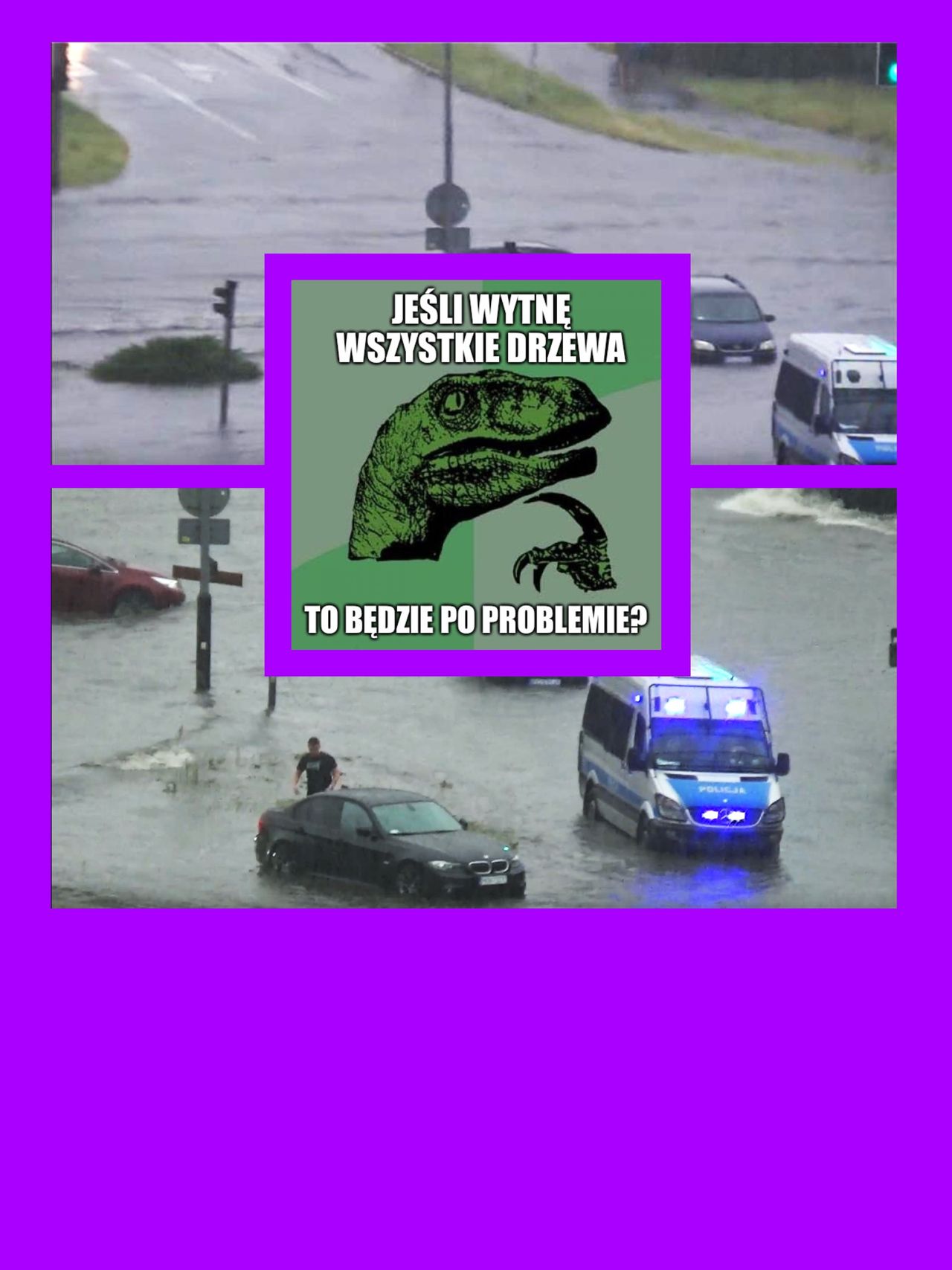 Chcecie mniej podtopień i powodzi? To PRZESTAŃCIE wycinać drzewa