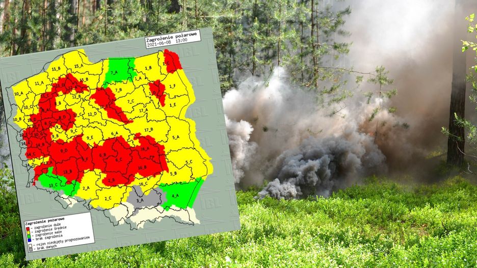 Pożar w lesie (zdjęcie ilustracyjne) 