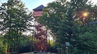 Wieże widokowe w Małopolsce. Nietypowe konstrukcje w głębi lasu