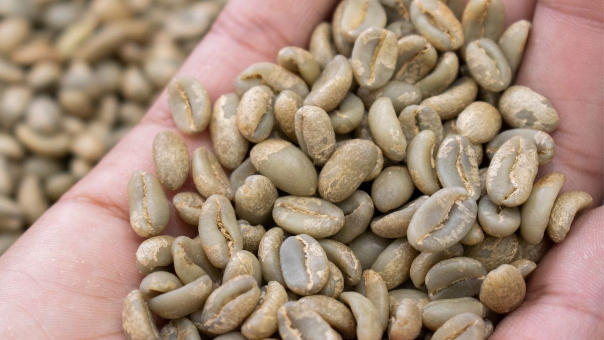 Ta kawa doda energii o poranku