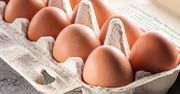 Takie jajka są najzdrowsze. Łatwo rozpoznasz w sklepie
