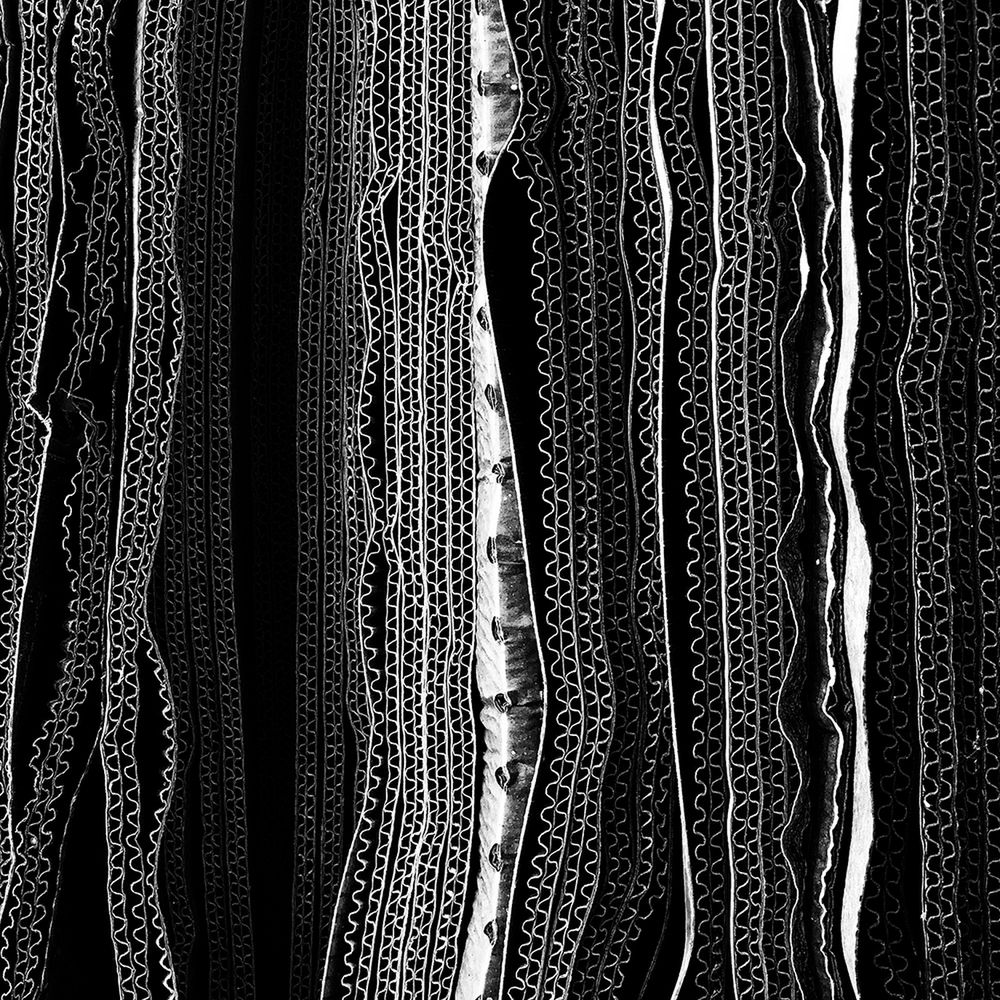 Dwóch Polaków nagrodzonych w iPhone Photography Awards 2018 7