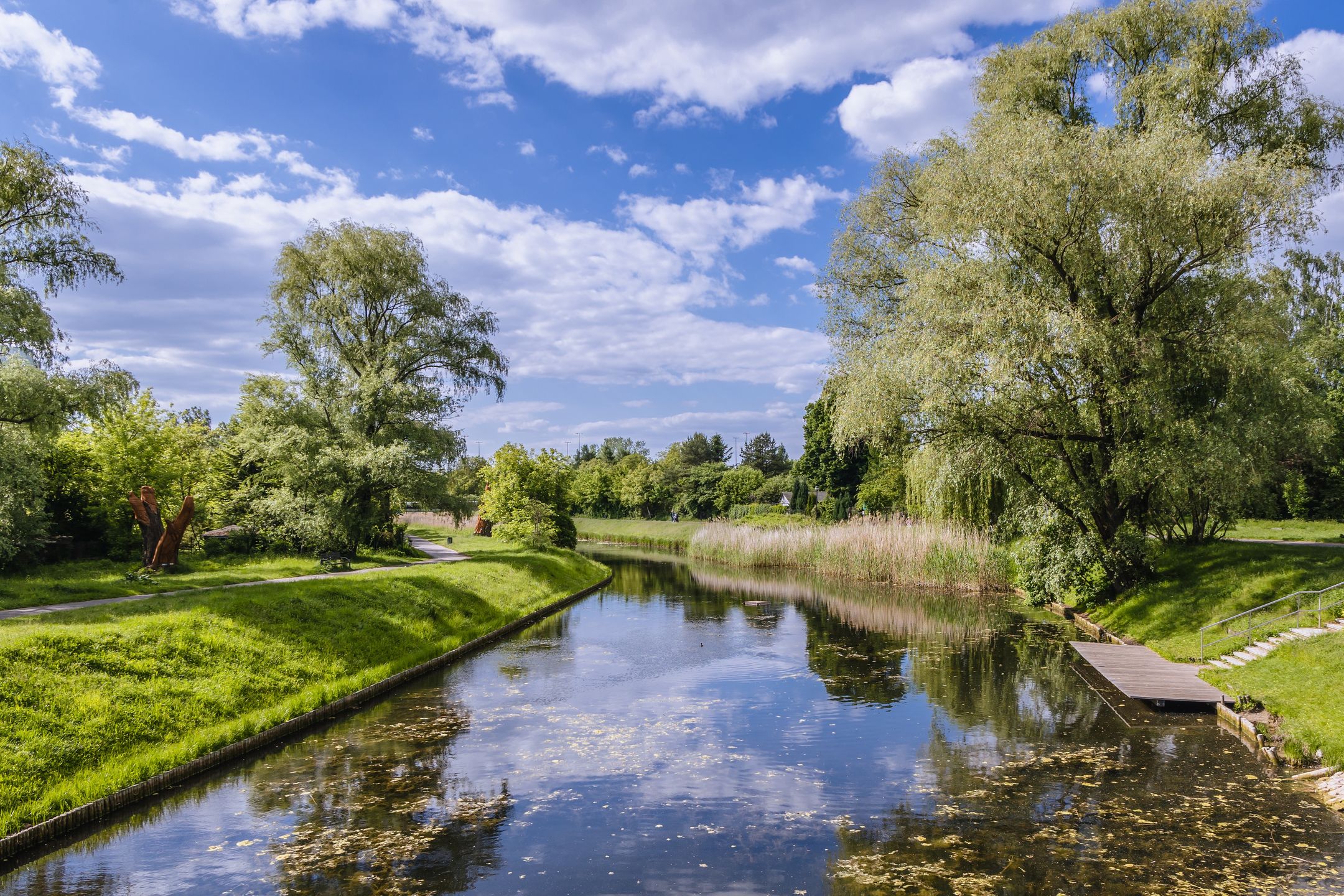 Kępa Potocka na Bielanach