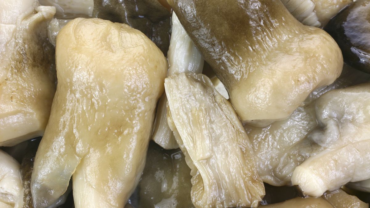 Grzyby oraz śledzie w occie są wyjątkowo szkodliwe dla żołądka