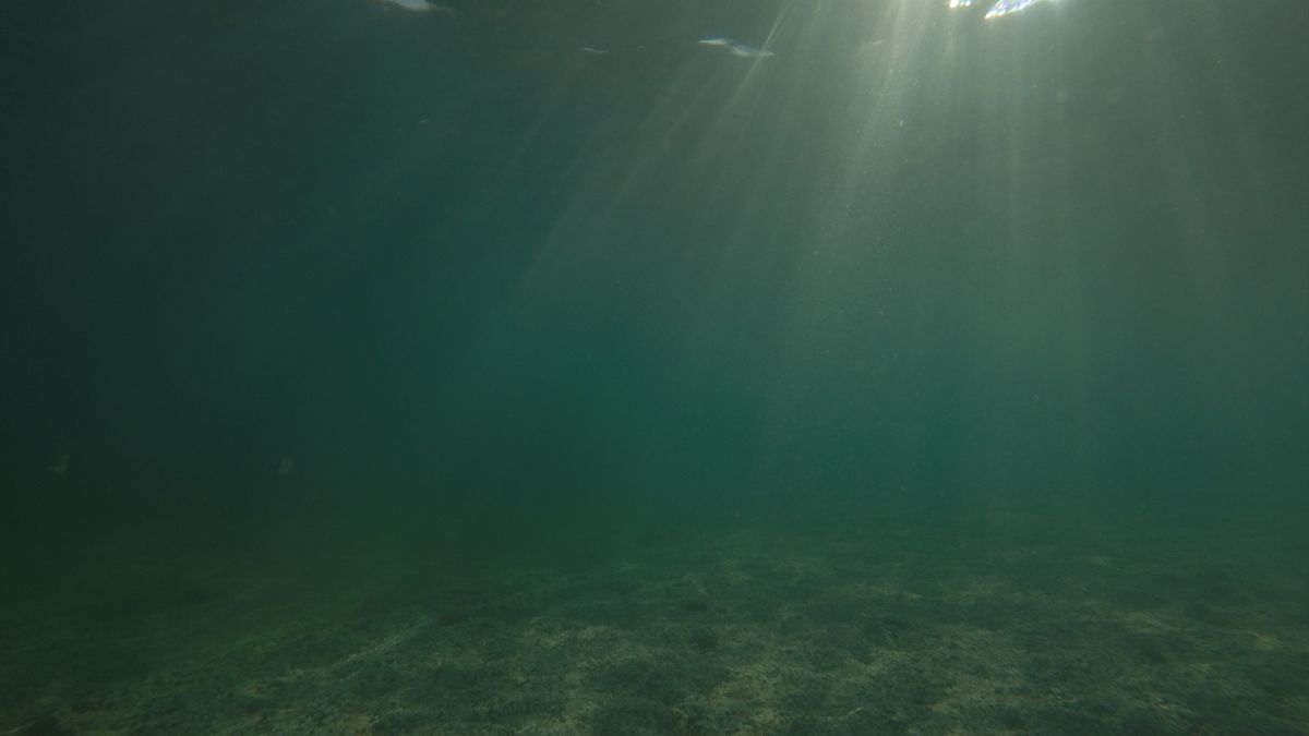 Tajemniczy obiekt na dnie oceanu. Przypomina jajo