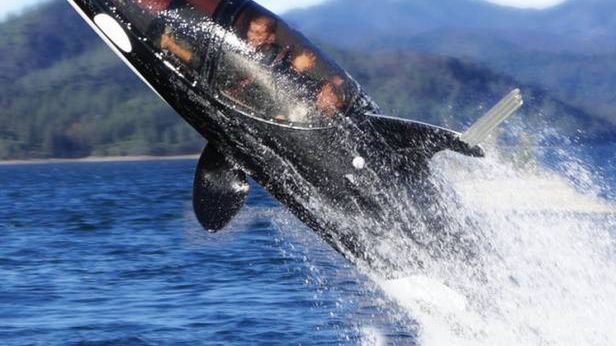 Seabreacher Y – jak wygląda podróż we wnętrzu orki? 1