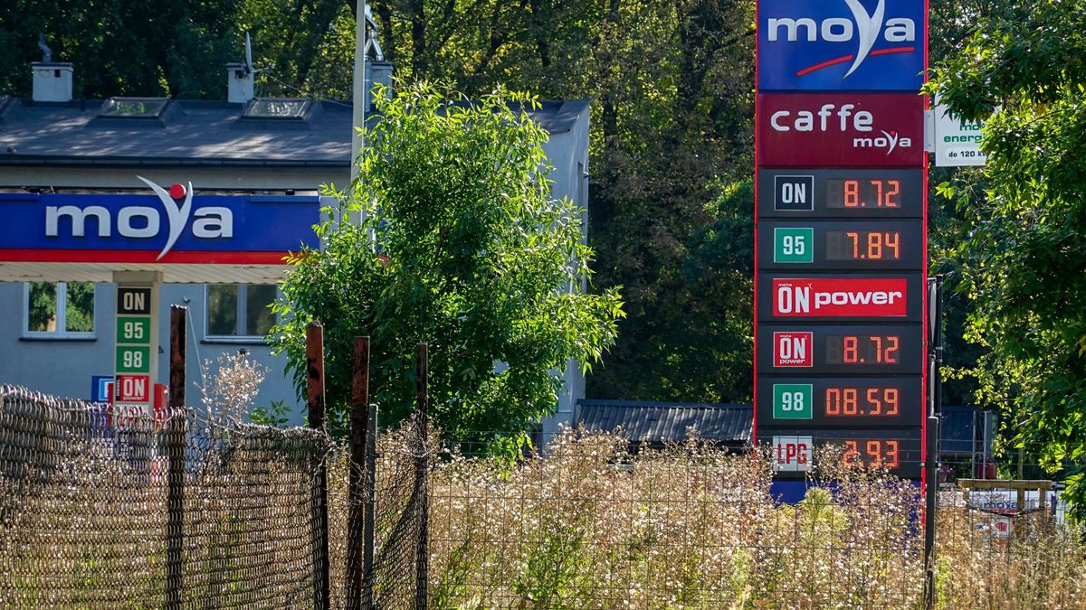 Ceny paliw na jednej ze stacji w Łodzi. Zdjęcie z 9 września 202