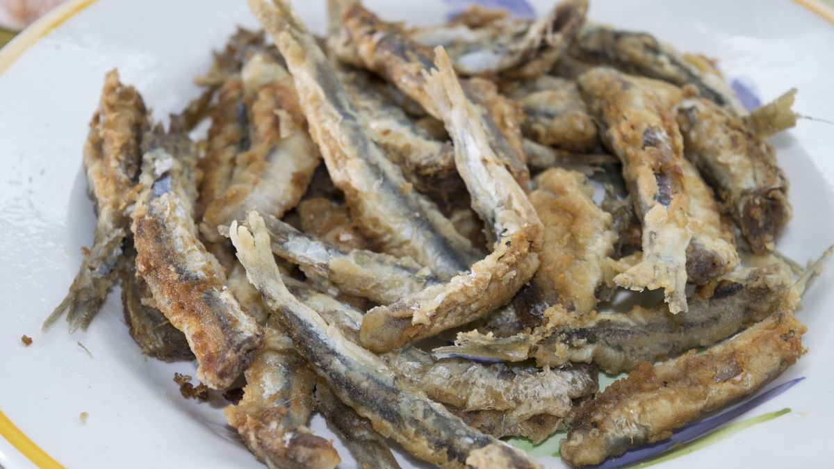 floured anchovies fillets
fillets of fresh anchovies floured and fried
sal61
Recipe, Meal, Fillet, Menu, Fried, Spain, Restaurant, Lunch, Seafood, Food, Tray, Plate, Crockery, Crispy