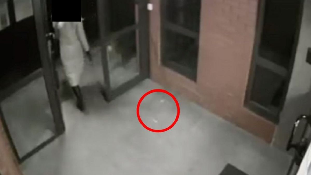 Kobieta rozrzucała pułapki na psy 