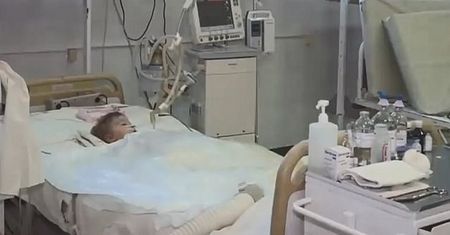 Psy rozszarpały dziecko. Chłopiec świętował tego dnia drugie urodziny
