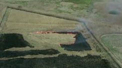 Wypalali trawy. Wpadli przez policyjnego drona