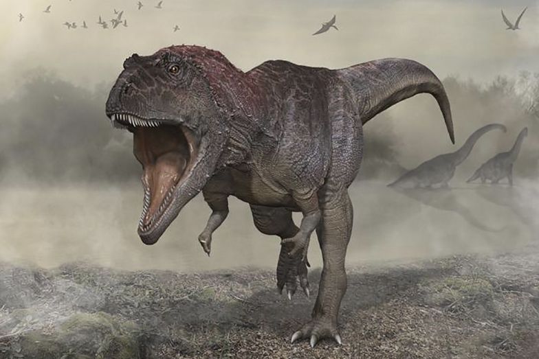 Dlaczego dinozaury miały krótkie łapy? Naukowcy dokonali nowego odkrycia