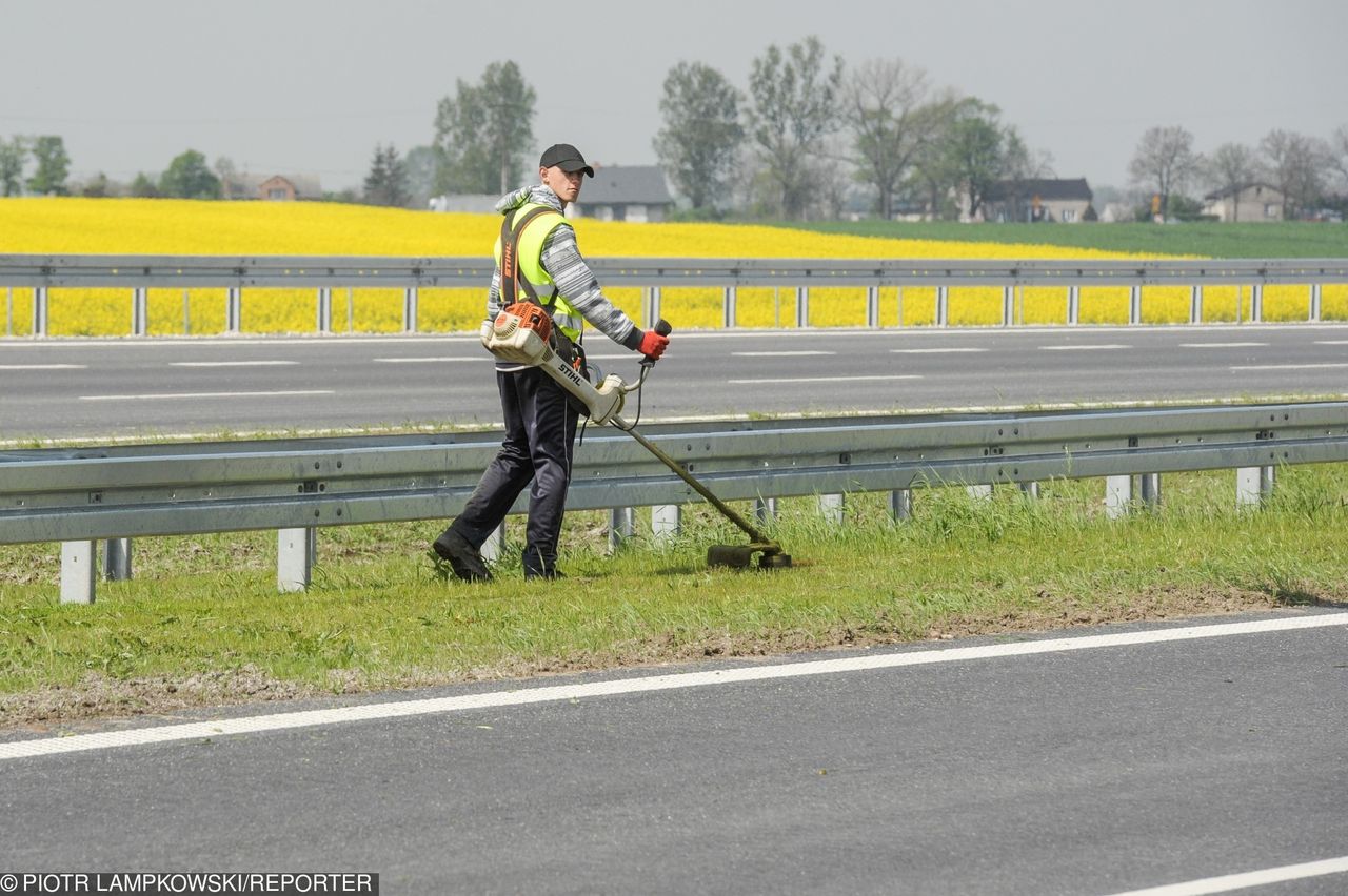 Sezon koszenia już ruszył