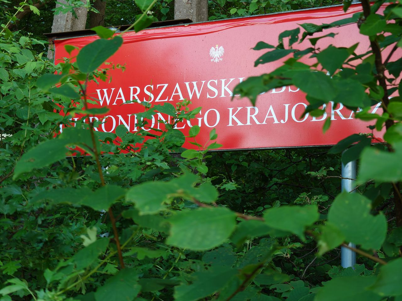 Zdjęcie z teleobiektywu (zoom optyczny x2.9).