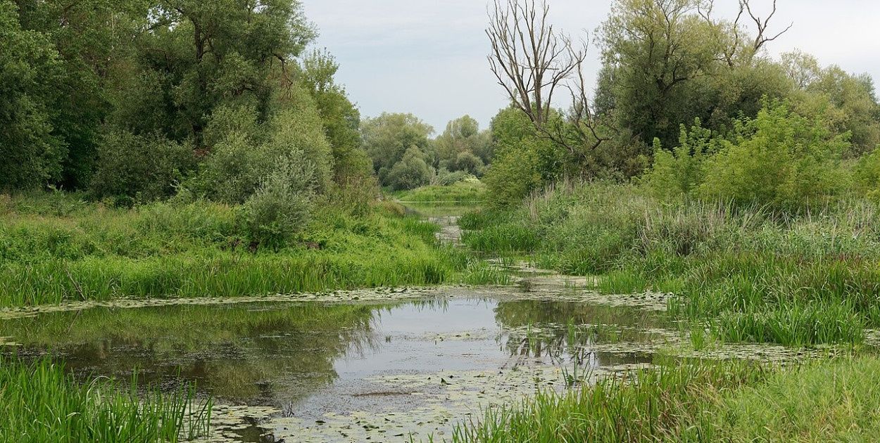 Chcą utworzyć nowy park narodowy w Polsce. Padły ważne deklaracje