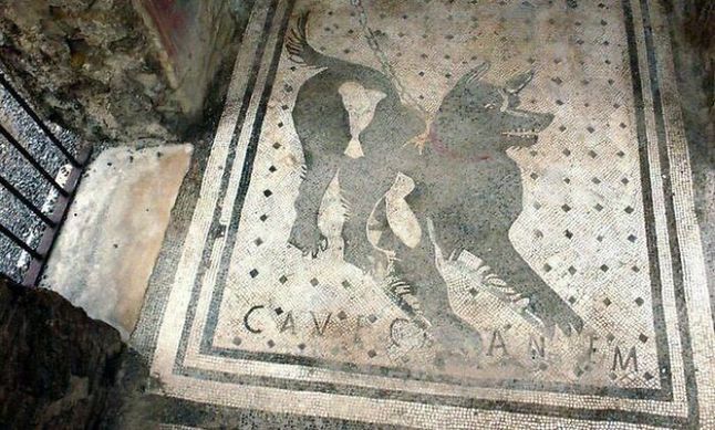 Jeden z najstarszych znaków ostrzegających przed groźnym psem na posesji. Został on znaleziony w szczątkach Pompejów, które zostały zniszczone przez erupcję Wezuwiusza w 79 roku naszej ery.