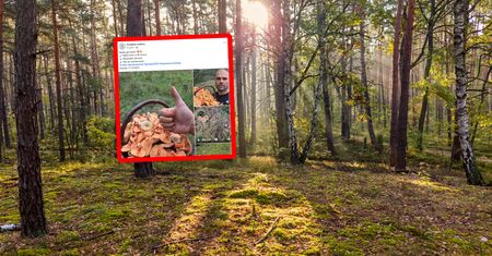 Tylko 40 minut w lesie. Oto efekt. Powtarzał jedno słowo