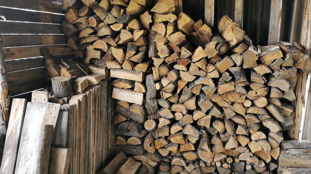 Ceny drewna opałowego w lutym 2026 r. w sklepach