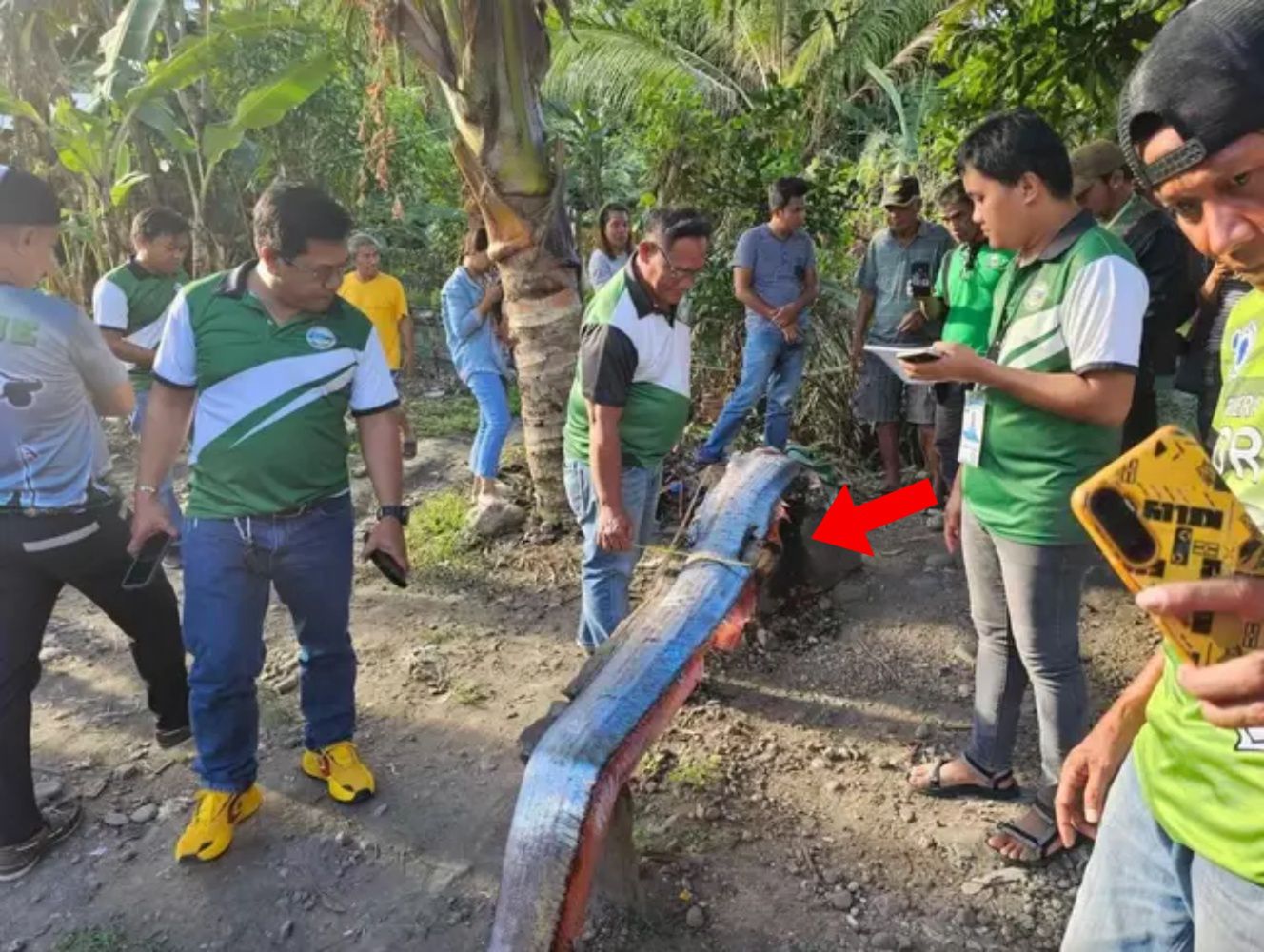 "Zwiastun kataklizmu" znaleziony w Filipinach