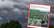 Gwałtowne burze nad Polską. Rolnik stracił dorobek z całego sezonu w kilka minut