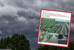 Gwałtowne burze nad Polską. Rolnik stracił dorobek z całego sezonu w kilka minut