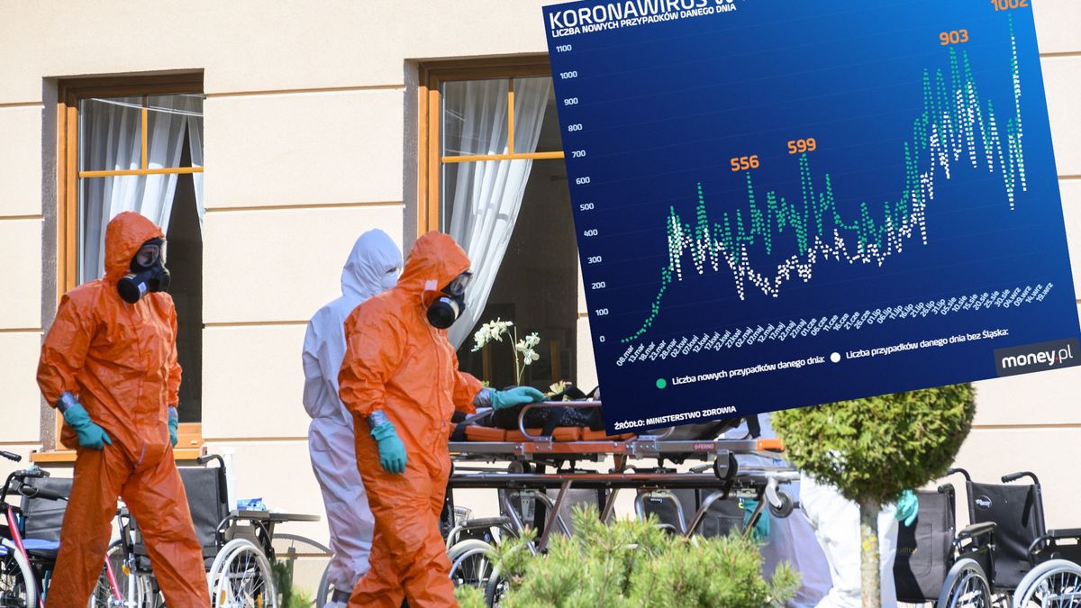 rekord zakażeń 1002 