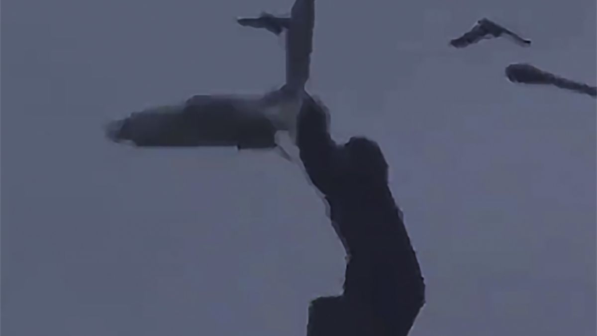 Sceny grozy w zoo.Goryl złapał przelatującą mewę i zaczął uderzać nią o pal