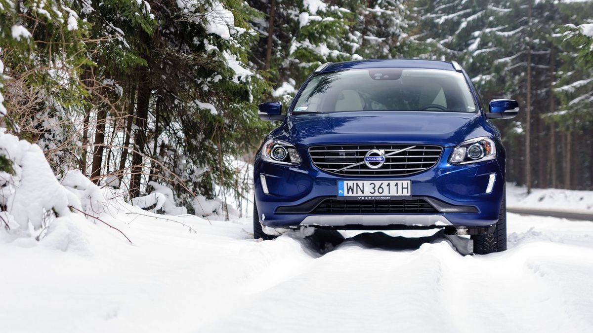 Temat wjazdu do lasu jest dosyć skomplikowany