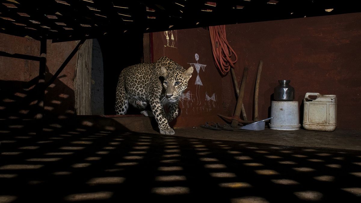 Zdjęcia nagrodzone w konkursie.