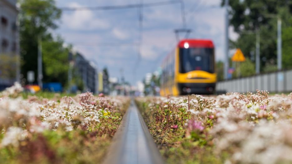 Warszawa. Porsche zablokowało torowisko