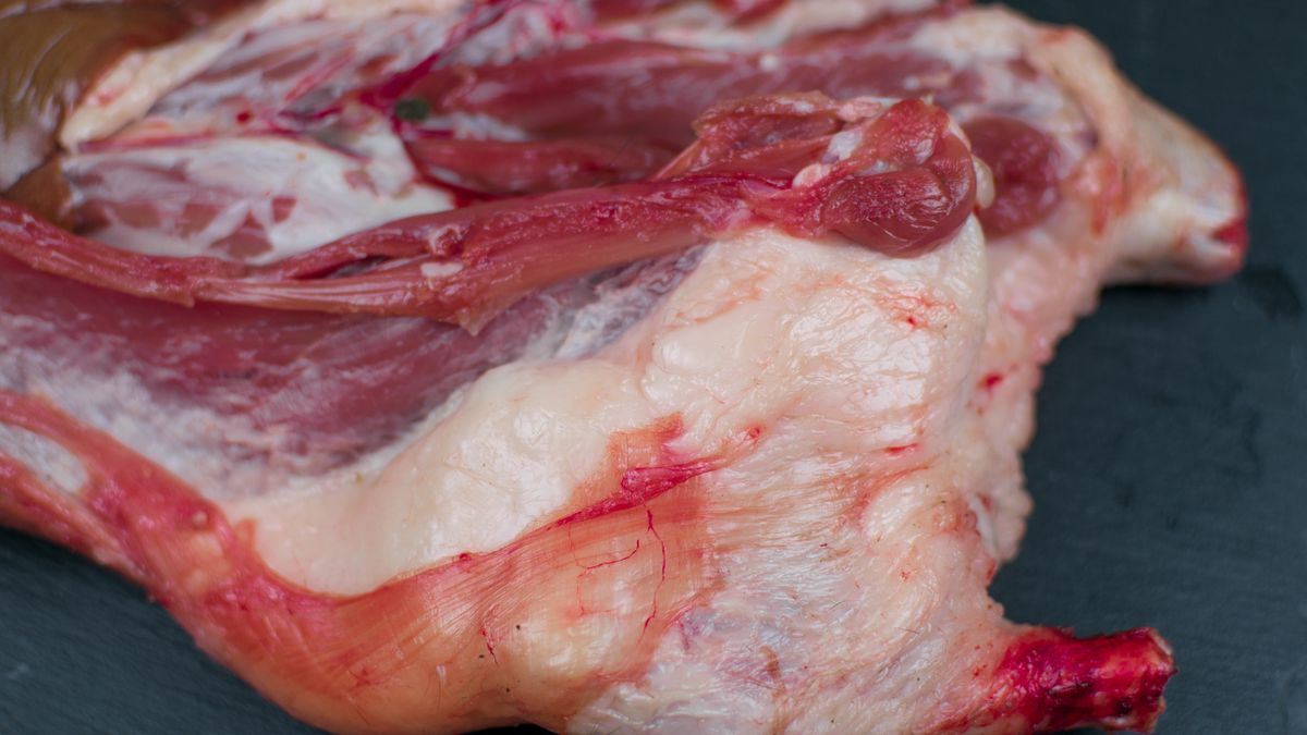 To zapomniane, dzikie mięso