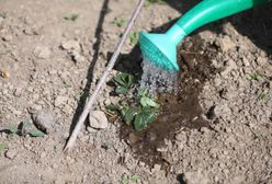 Nie lej wody! Przyłącz się do nas i zatrzymaj suszę