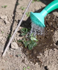 Nie lej wody! Przyłącz się do nas i zatrzymaj suszę