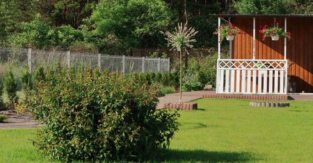 Działka ROD za cenę mieszkania? Skąd biorą się tak astronomiczne ceny