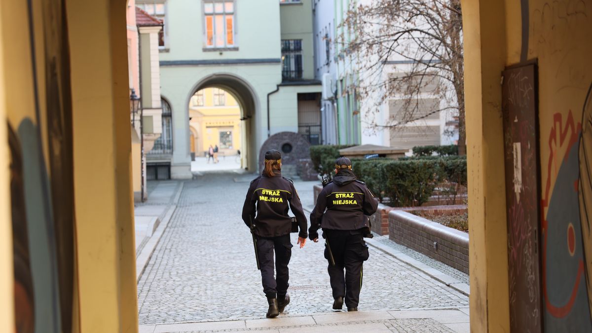 Straż miejska prowadzi kontrole wpisów do CEEB