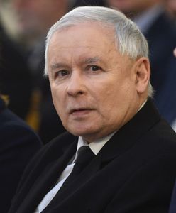 Gołąbki pokoju z kałasznikowem. Pałkarze PiS ruszają po zmroku [OPINIA]