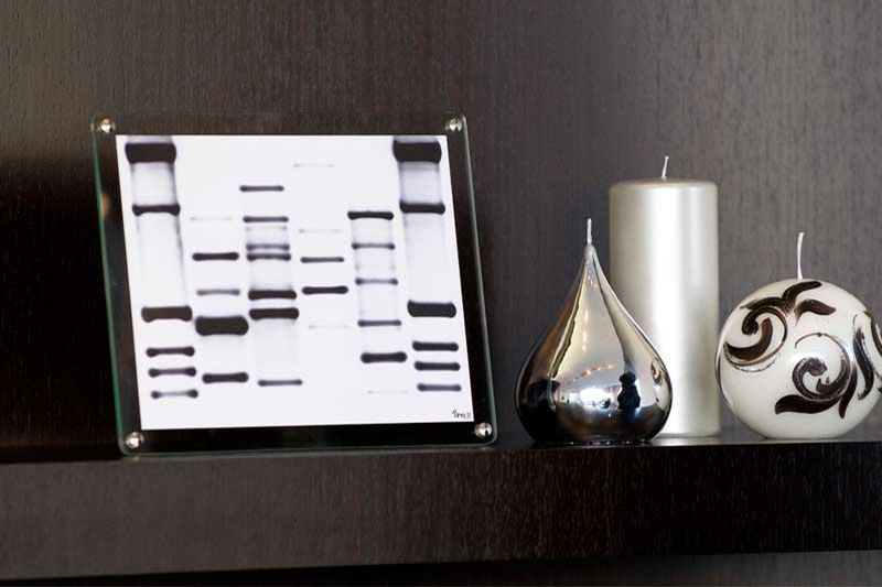 DNA Mini, portret bardzo osobisty 2