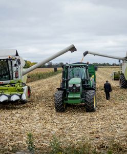 Ostatnie żniwa w tym roku. Oto jak idą zbiory na południu