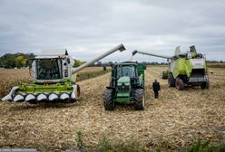 Ostatnie żniwa w tym roku. Oto jak idą zbiory na południu