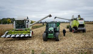Ostatnie żniwa w tym roku. Oto jak idą zbiory na południu