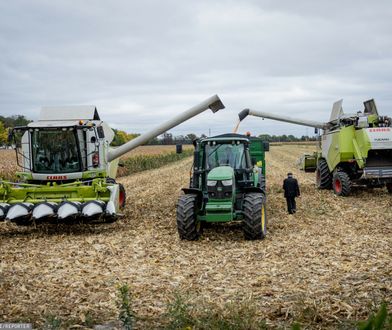 Ostatnie żniwa w tym roku. Oto jak idą zbiory na południu