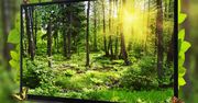 Telewizor Telefunken: matrycowe podświetlenie ekranu w super cenie